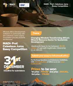 Essay competition 2021 rev