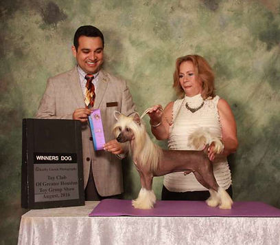 gal_img_inline_15f63c0981e1caa1ab501b50d