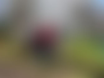 Les Griottes, une maison participative pour les aînés