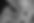 adrien-converse-xzH7K6nVVgI-unsplash.jpg