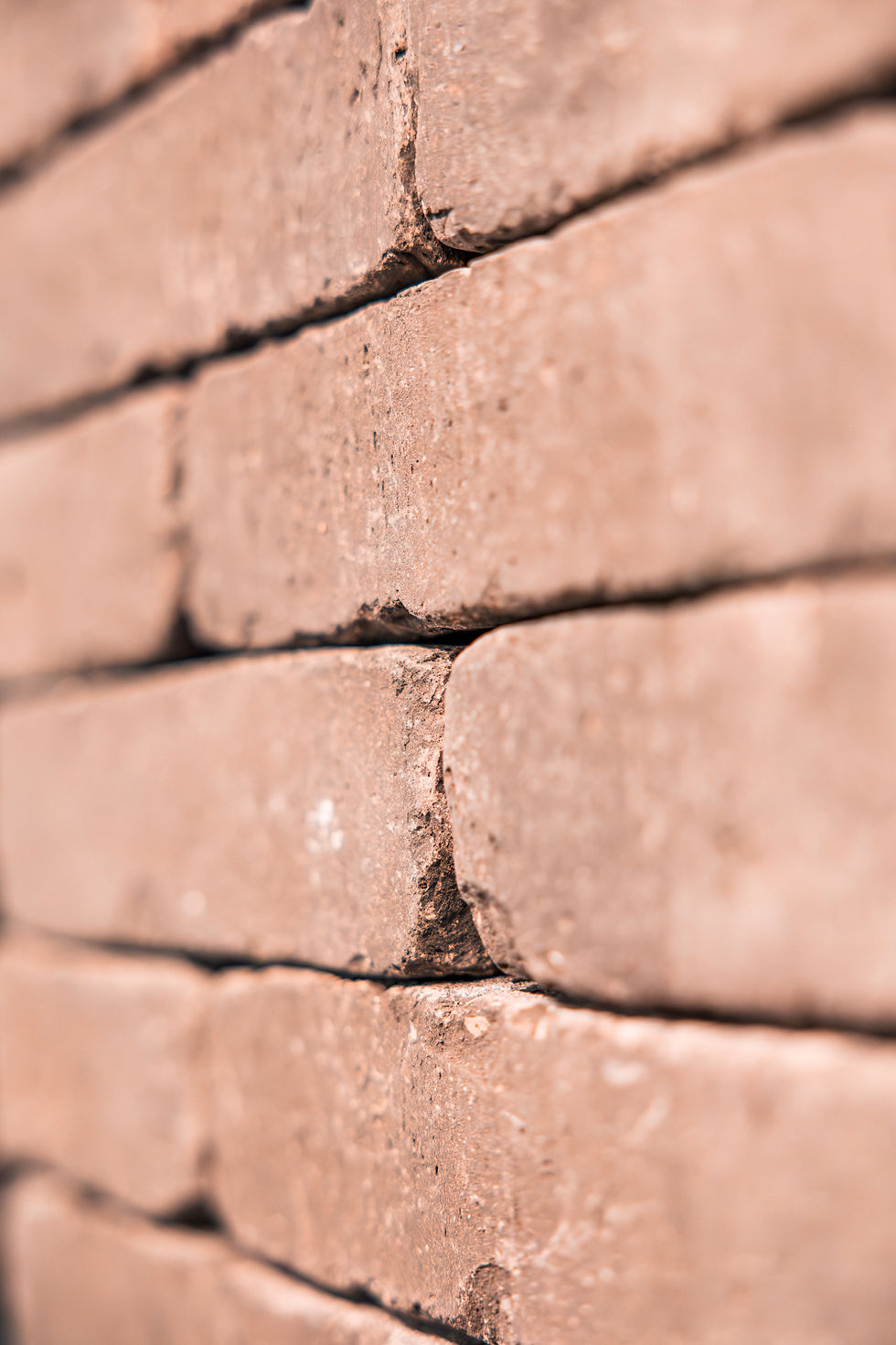 B-Jardin, aménagement de jardin et espaces extérieurs Bruxelles, matériaux