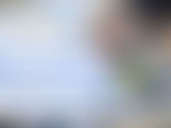 Afschaffing bedrijfsbeheer in wallonië