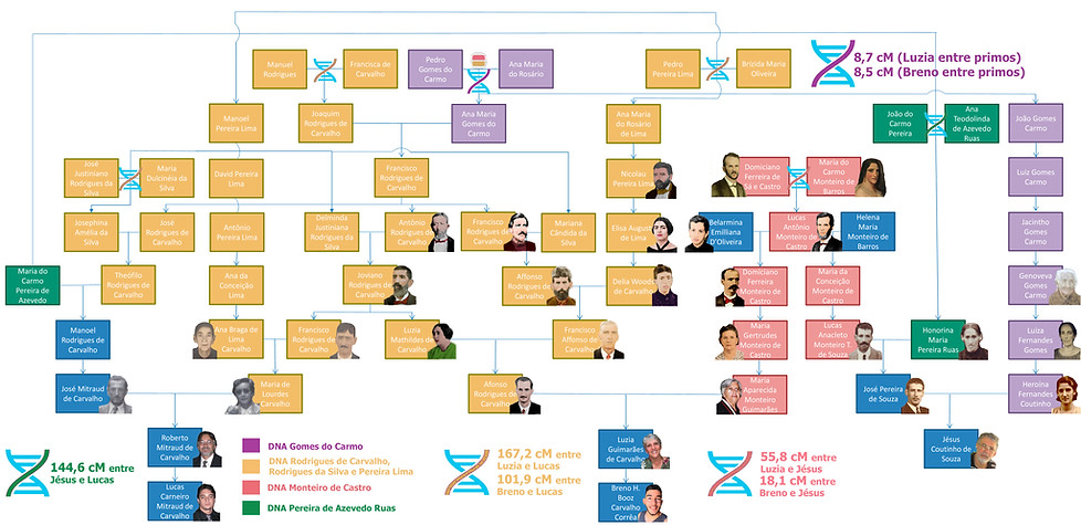 explicação genética com os pereiras lima - Colorido.jpg