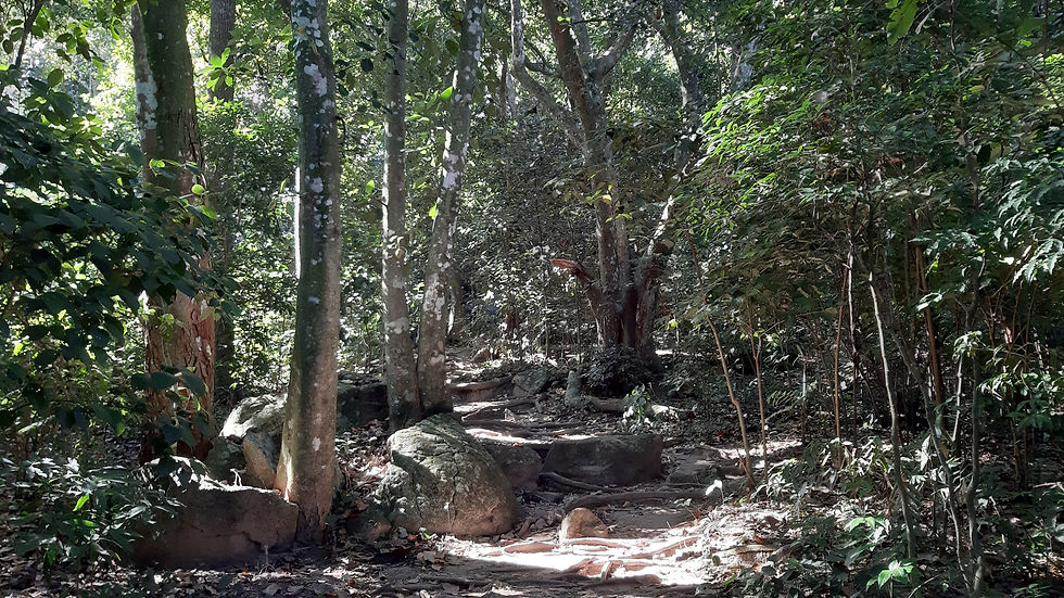 20190630_132139.jpg