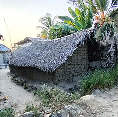 village 1_edited_edited.jpg