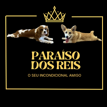 Paraiso dos reis.png