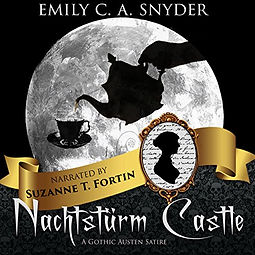 Nachtsturm Castle.jpg