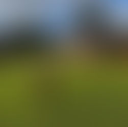 Festival de Atletismo 