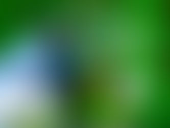 Manifesting Your Ideal Reality