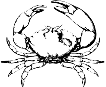Unknown-2.png