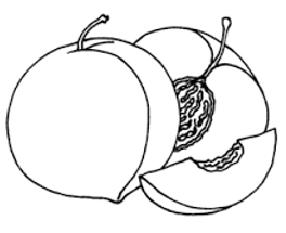 Unknown-2.png