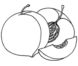 Unknown-2.png