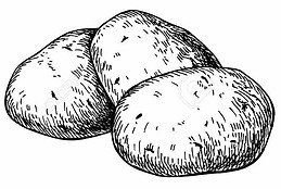 60785944-potato-vector-drawing-isolated-potatoes-heap-vegetable-engraved-style-illustratio