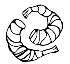 Unknown-1.png