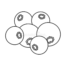 Unknown-3.png