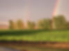 Vineyard-Rainbow-2.jpeg