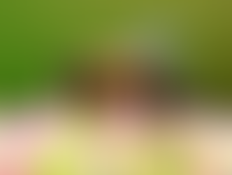 Ditch Honey and Switch to Eco-Friendly Vegan Choices