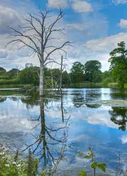 _MG_3769 - Version 2.jpg