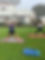 IMG_3267.JPEG