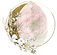 Seed Of Life Reiki final logo (1)_edited_edited.png
