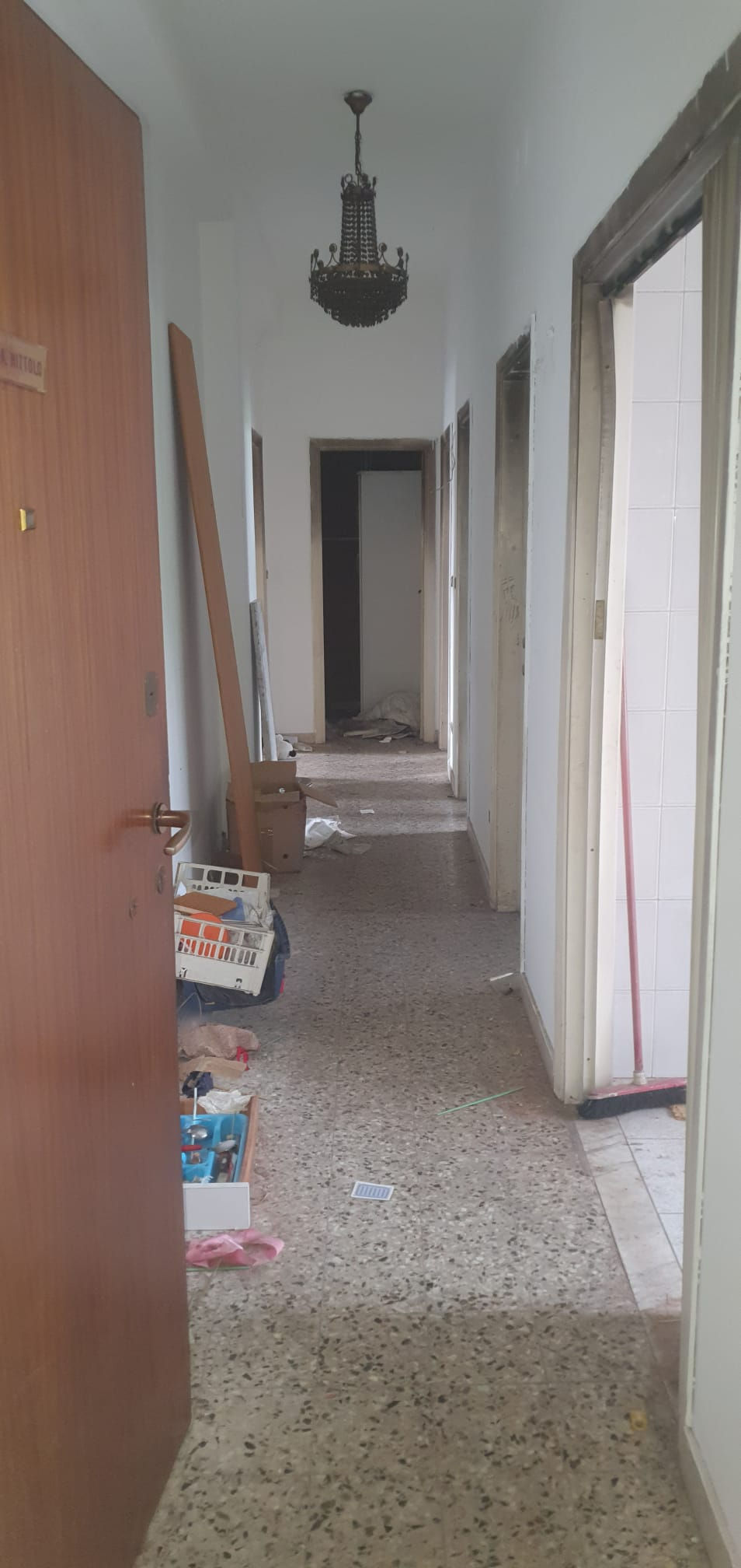 WhatsApp Image 2025-03-23 at 22.26.16