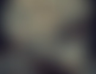 The Honolulu Traffic Crisis 