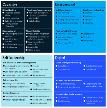56 Foundational Skills McKinsey