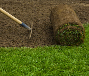 cost-of-sod-instalation
