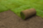 sod-roll-installation