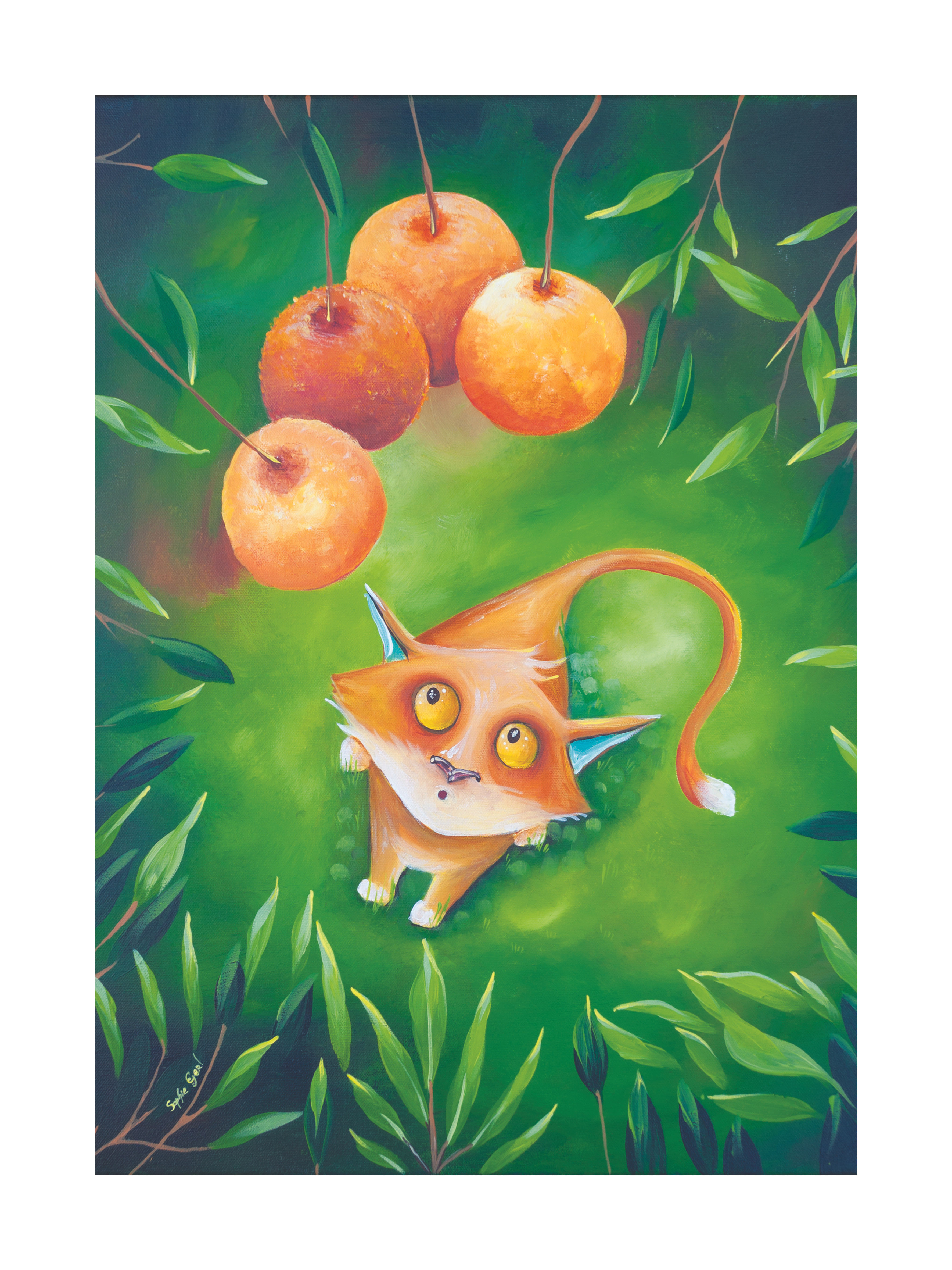 Impression Chat - A4 ou 30/40cm