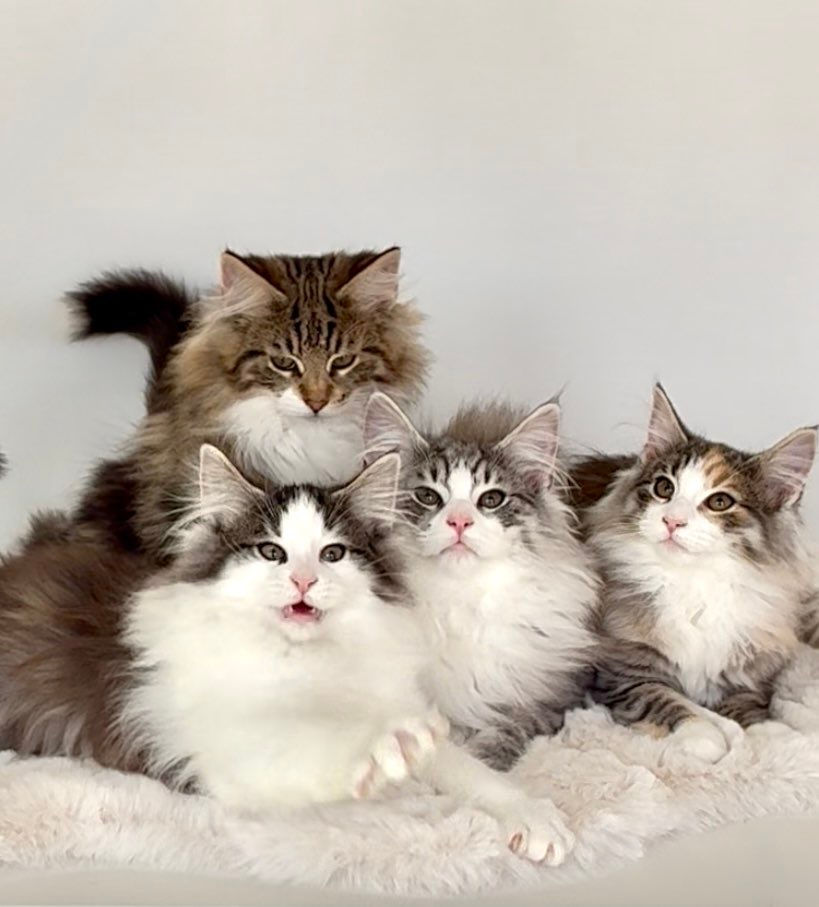 KakaoTalk_20260218_205437750