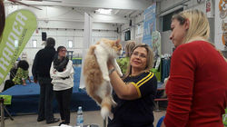 14800192_685227228309507_2079456174_o