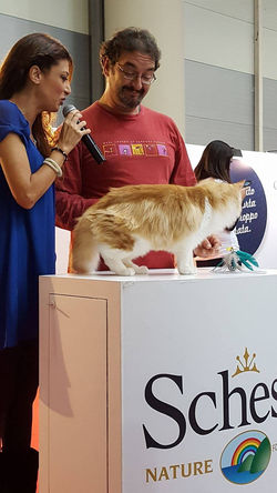 15134089_703282926503937_314011936_o