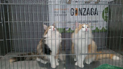 14725195_685327644966132_920865307_o