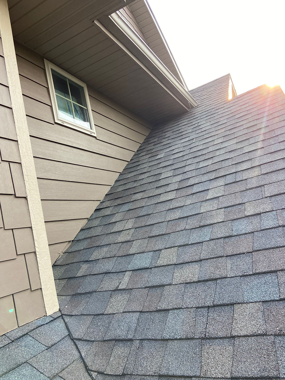 Shingle Valley Leak Repair