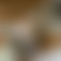 [하이엔드급 반수공] 에르메스 빅토리아