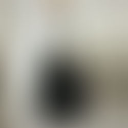 [우버급 더로우] 파크백