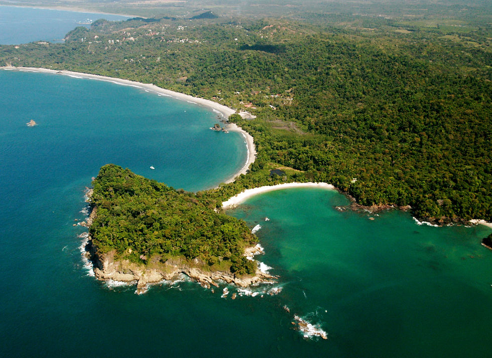 parque 5