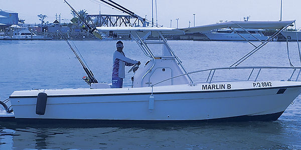 marlin b.jpg