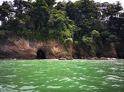 bahia ballena 2.jpg