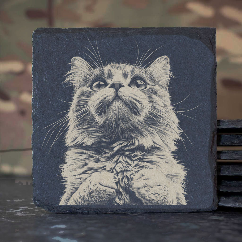 British Colourpoint Cat (set of 4) Slate Coaster