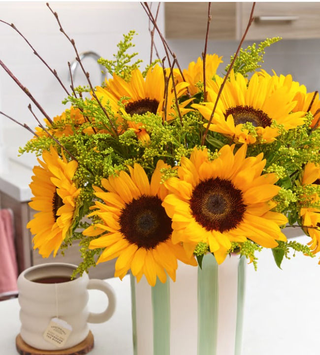 Thumbnail: Sensational Sunflowers