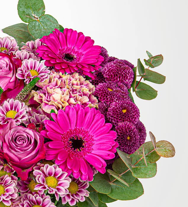 Chrysantheums