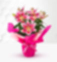 Oriental Lily Gift