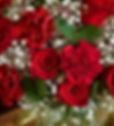 Carnations