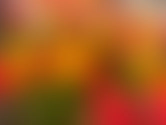 Informal- The more casual way of things