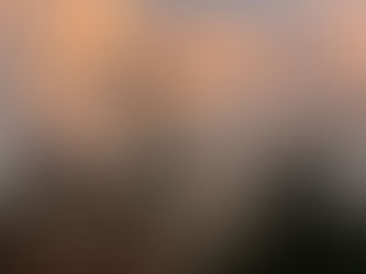 Welcome to Sierra's Share!