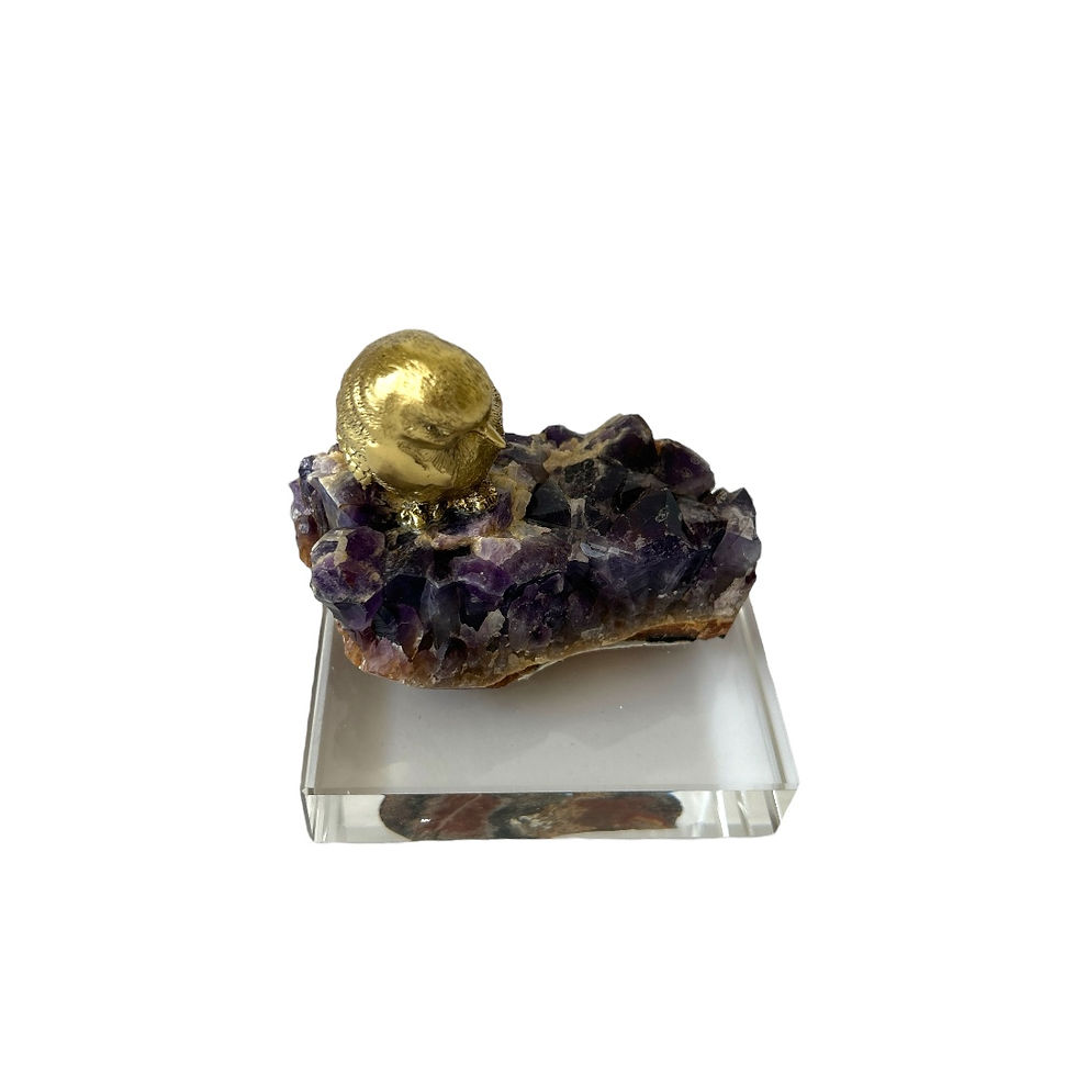 CAM KAİDE AMETİST VE KUŞ