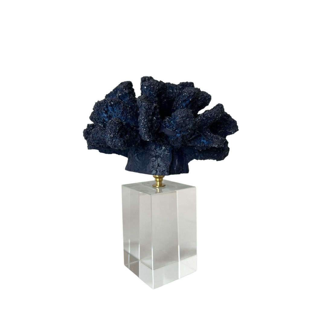 CAM KAİDE MERCAN MOTİF