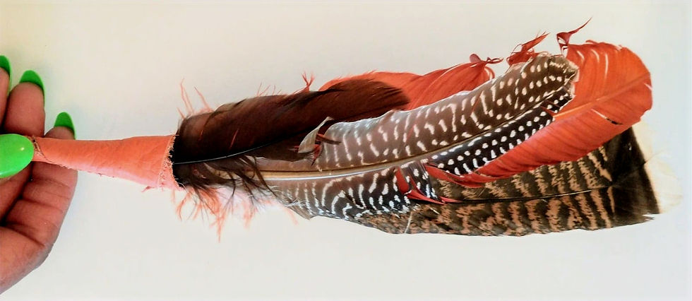 Orange Feather